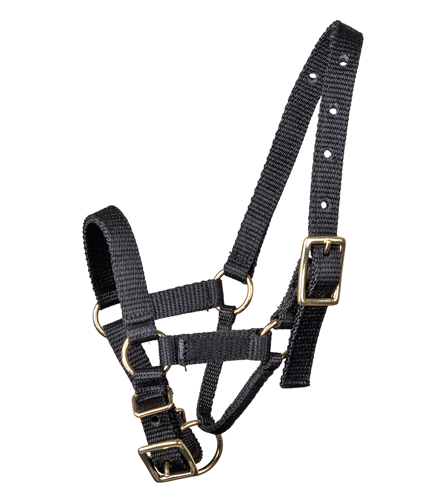 Waldhausen - Alpaka halter, black