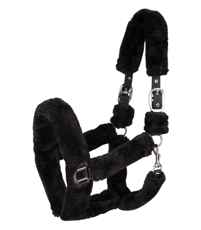 Waldhausen - Halter Cozy
