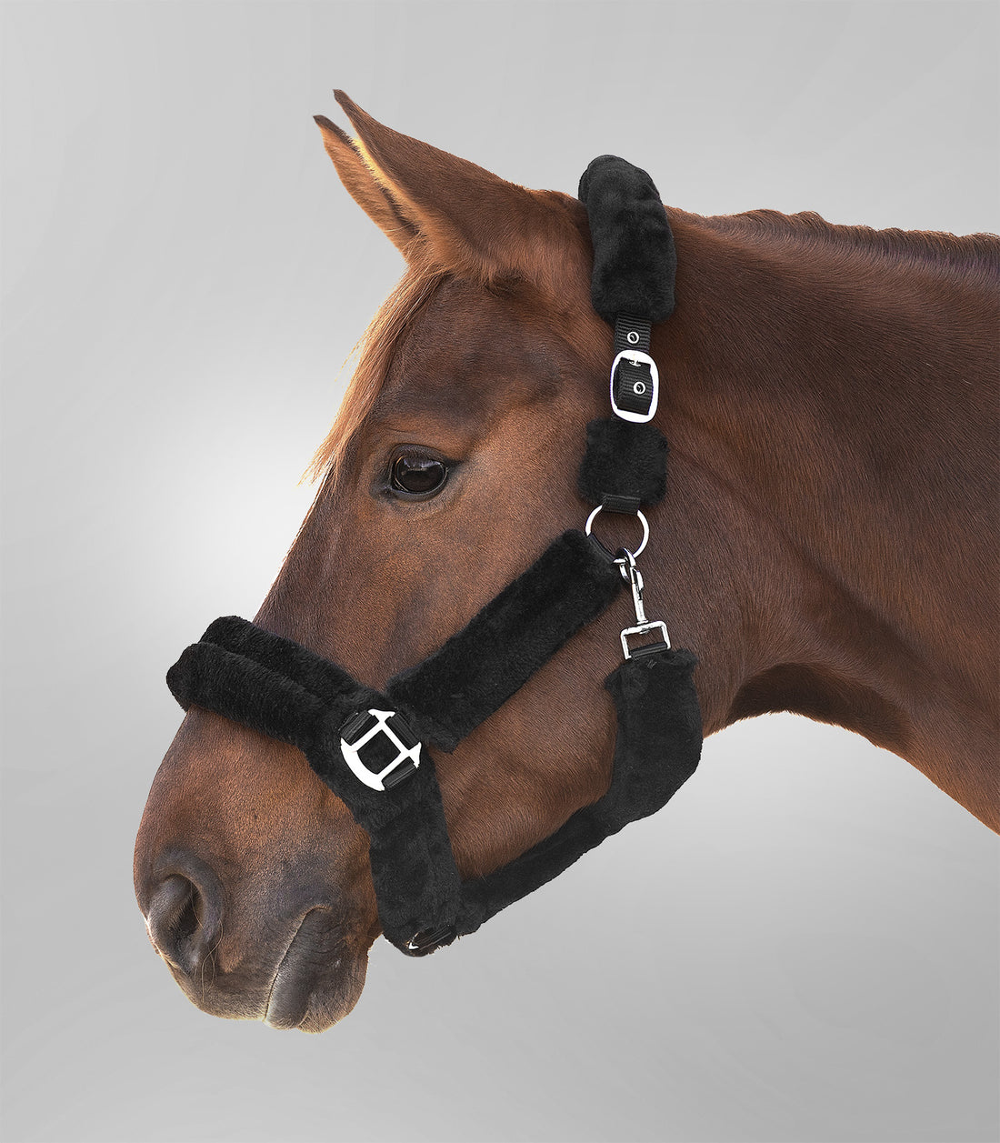 Waldhausen - Halter Cozy