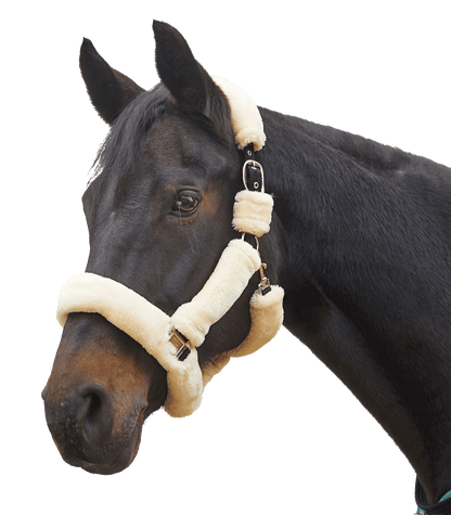 Waldhausen - Halter Cozy