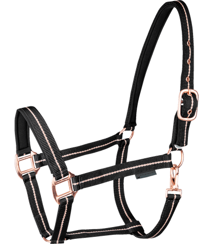 Waldhausen - Halter Rosé