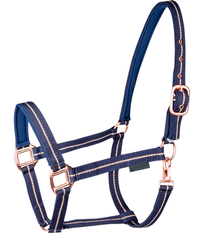 Waldhausen - Halter Rosé
