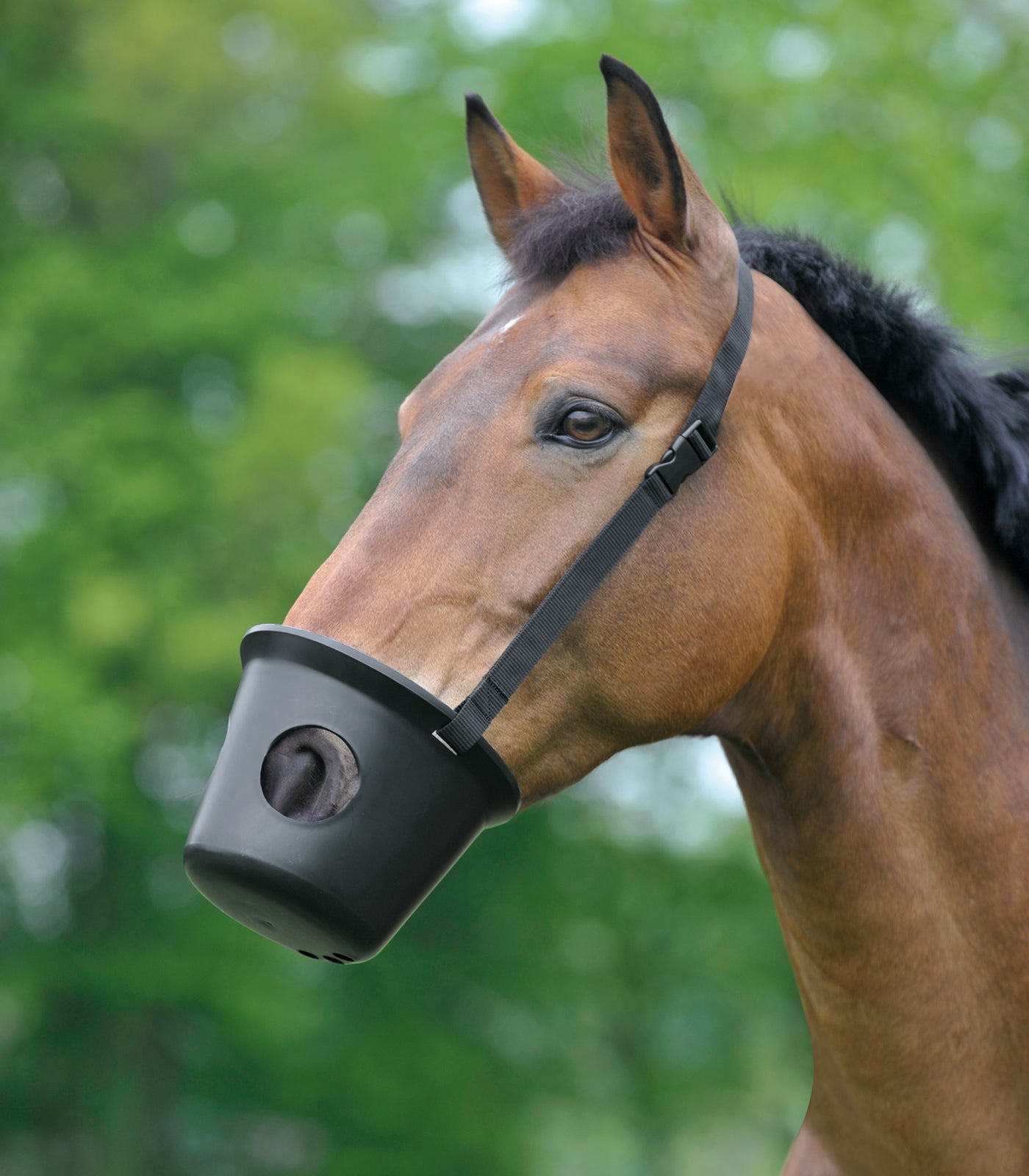 Waldhausen - Plastic Muzzle, black, Full
