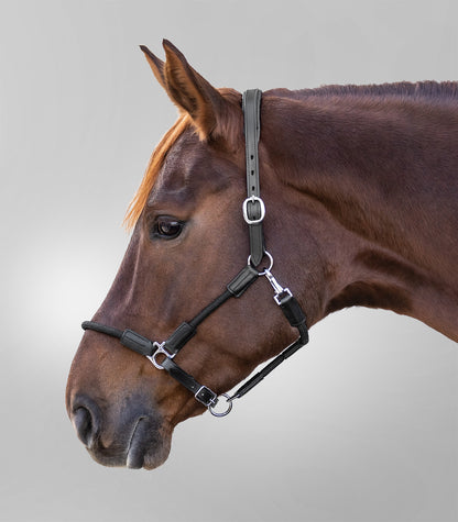 Waldhausen - Leatherhalter X-Line Nevada