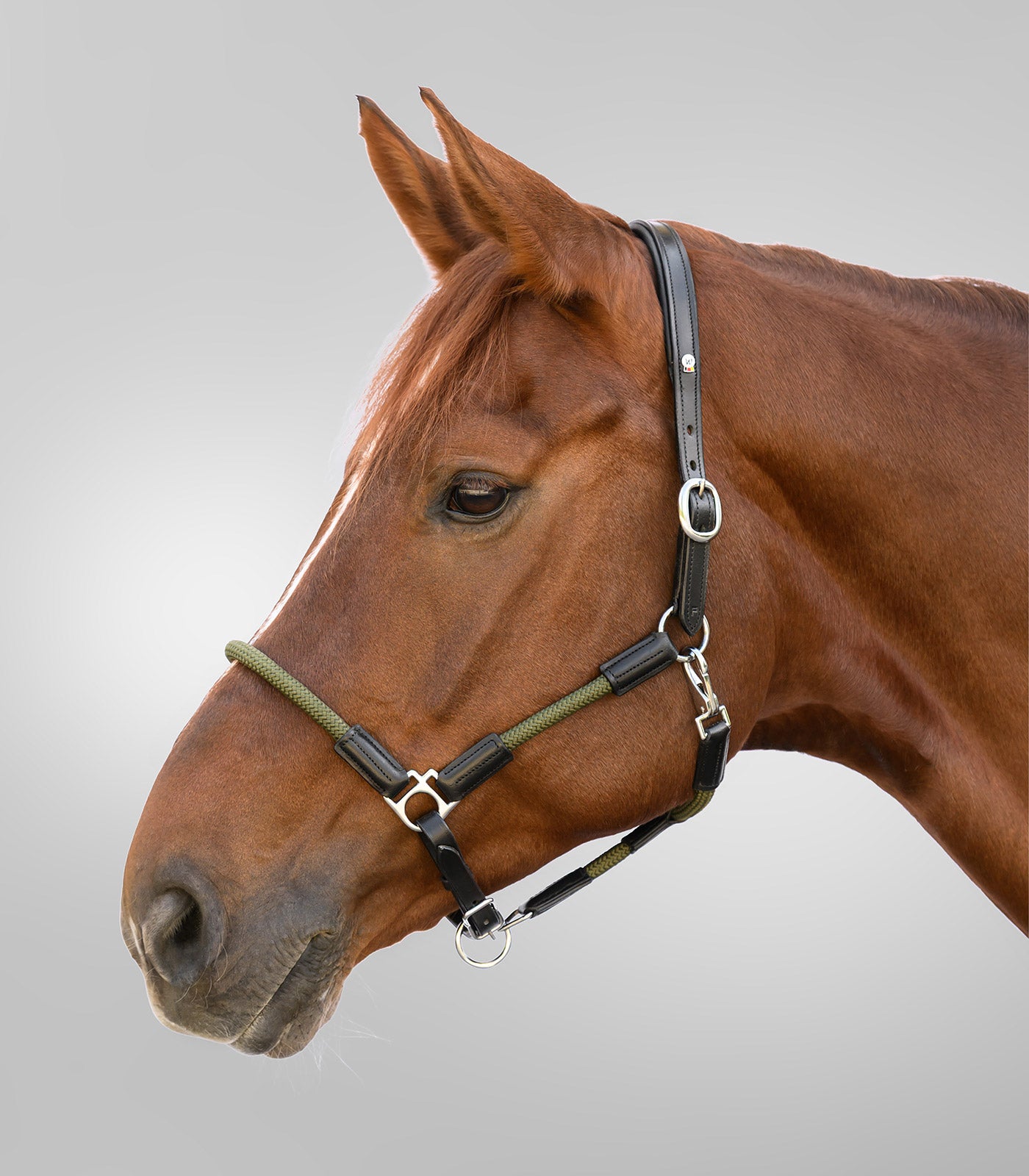 Waldhausen - Leatherhalter X-Line Nevada