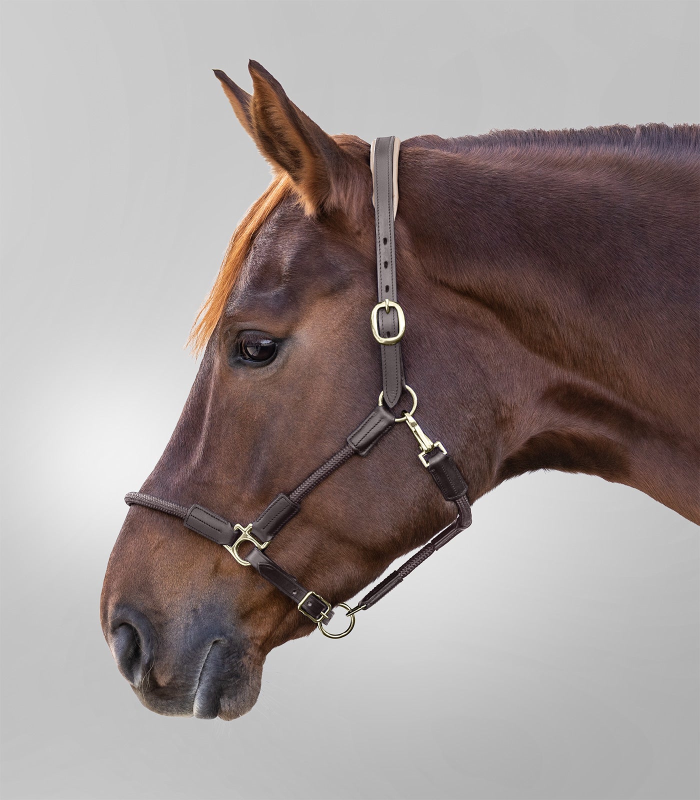Waldhausen - Leatherhalter X-Line Nevada