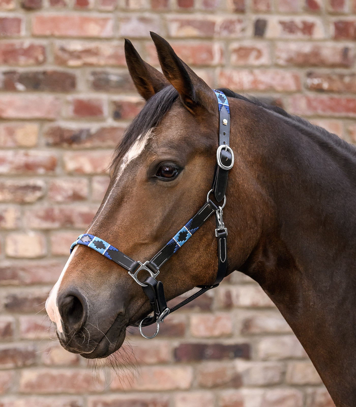 Waldhausen - Leatherhalter X-Line Polo