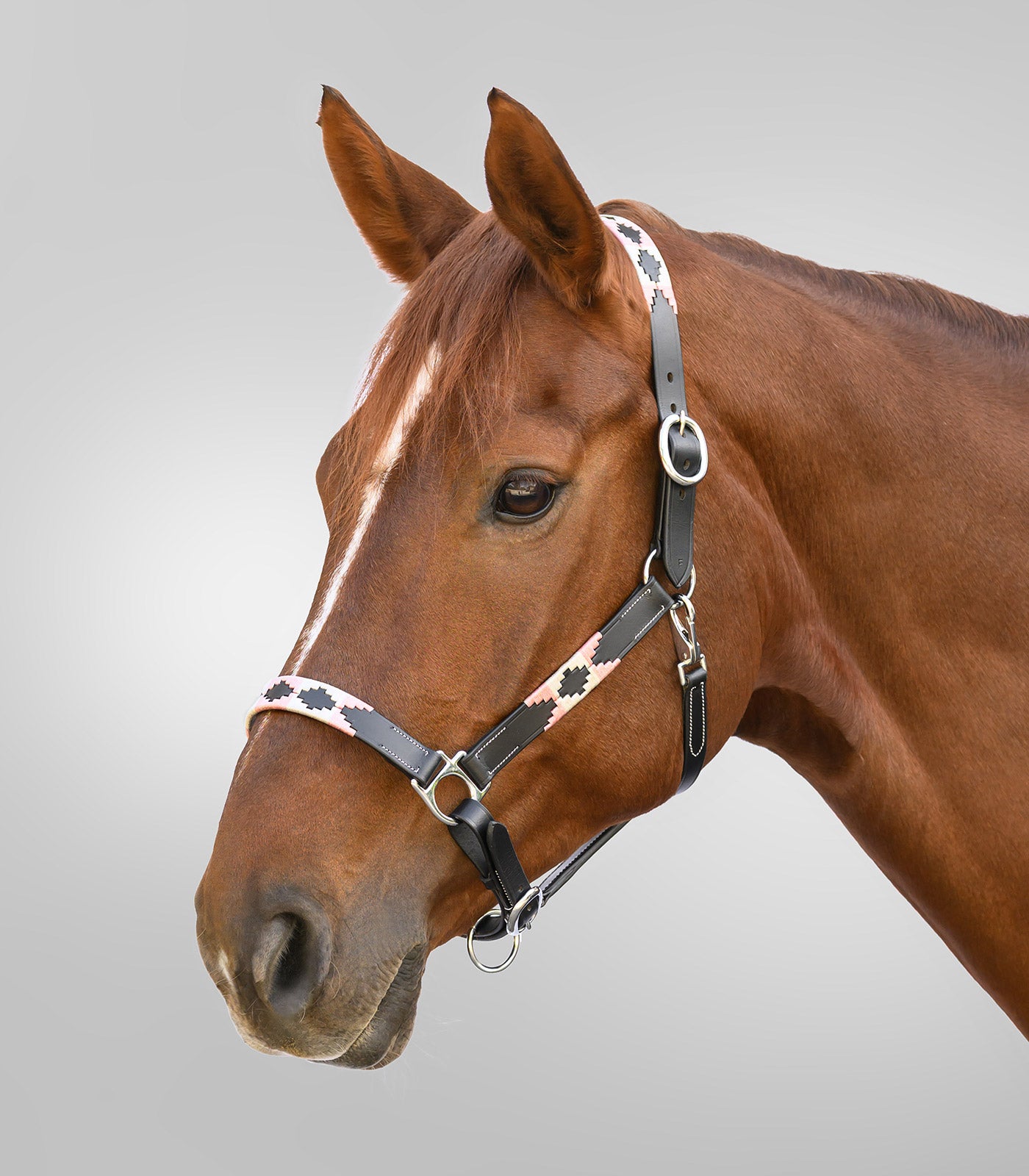 Waldhausen - Leatherhalter X-Line Polo