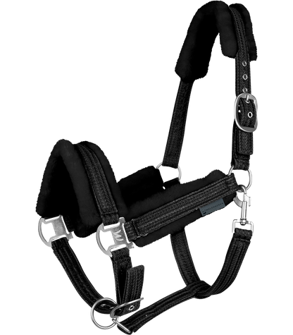 Waldhausen - Halter Sparkel