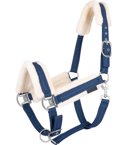 Waldhausen - Halter Sparkel