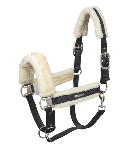 Waldhausen - Halter