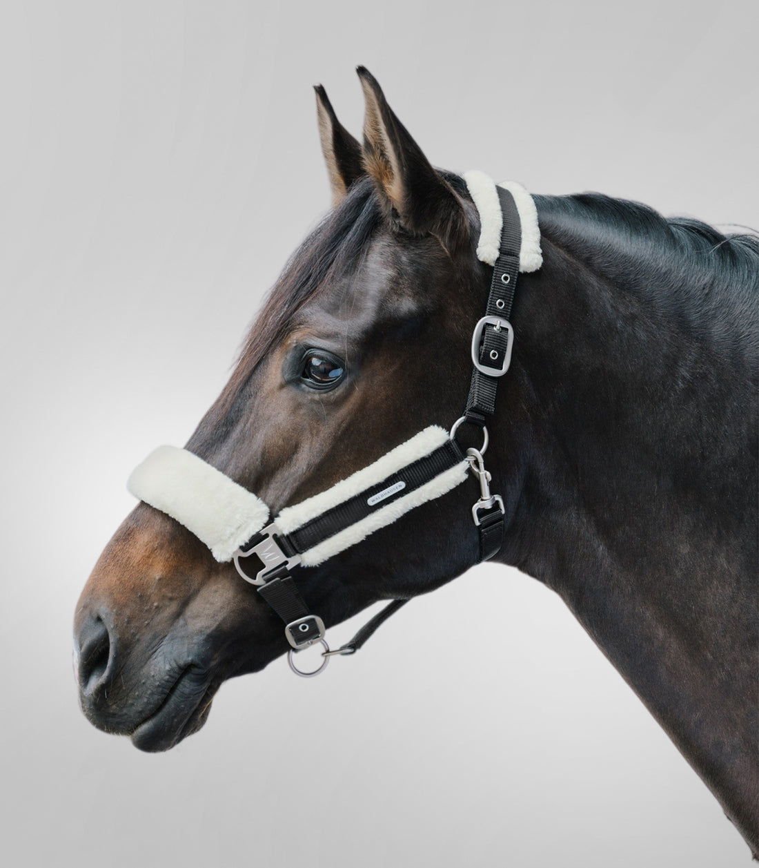 Waldhausen - Halter