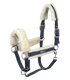 Waldhausen - Halter