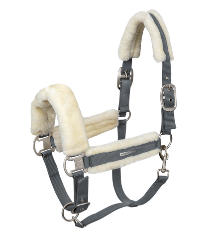 Waldhausen - Halter