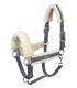 Waldhausen - Halter