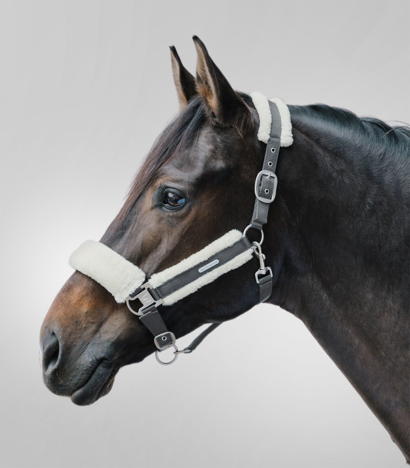 Waldhausen - Halter