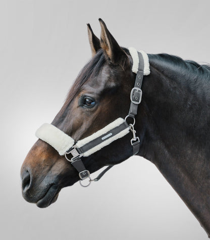 Waldhausen - Halter