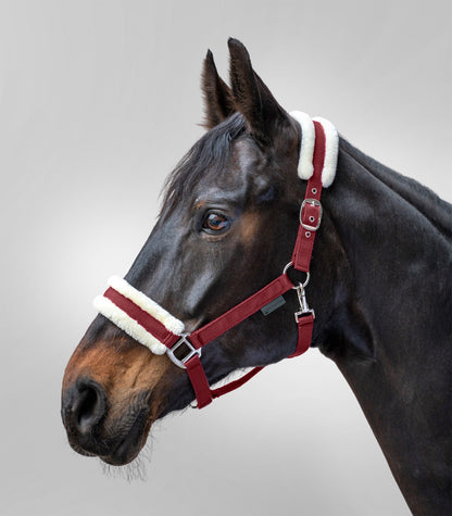 Waldhausen - Halter First