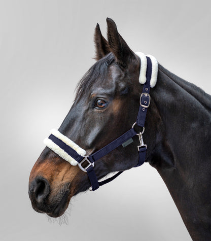 Waldhausen - Halter First