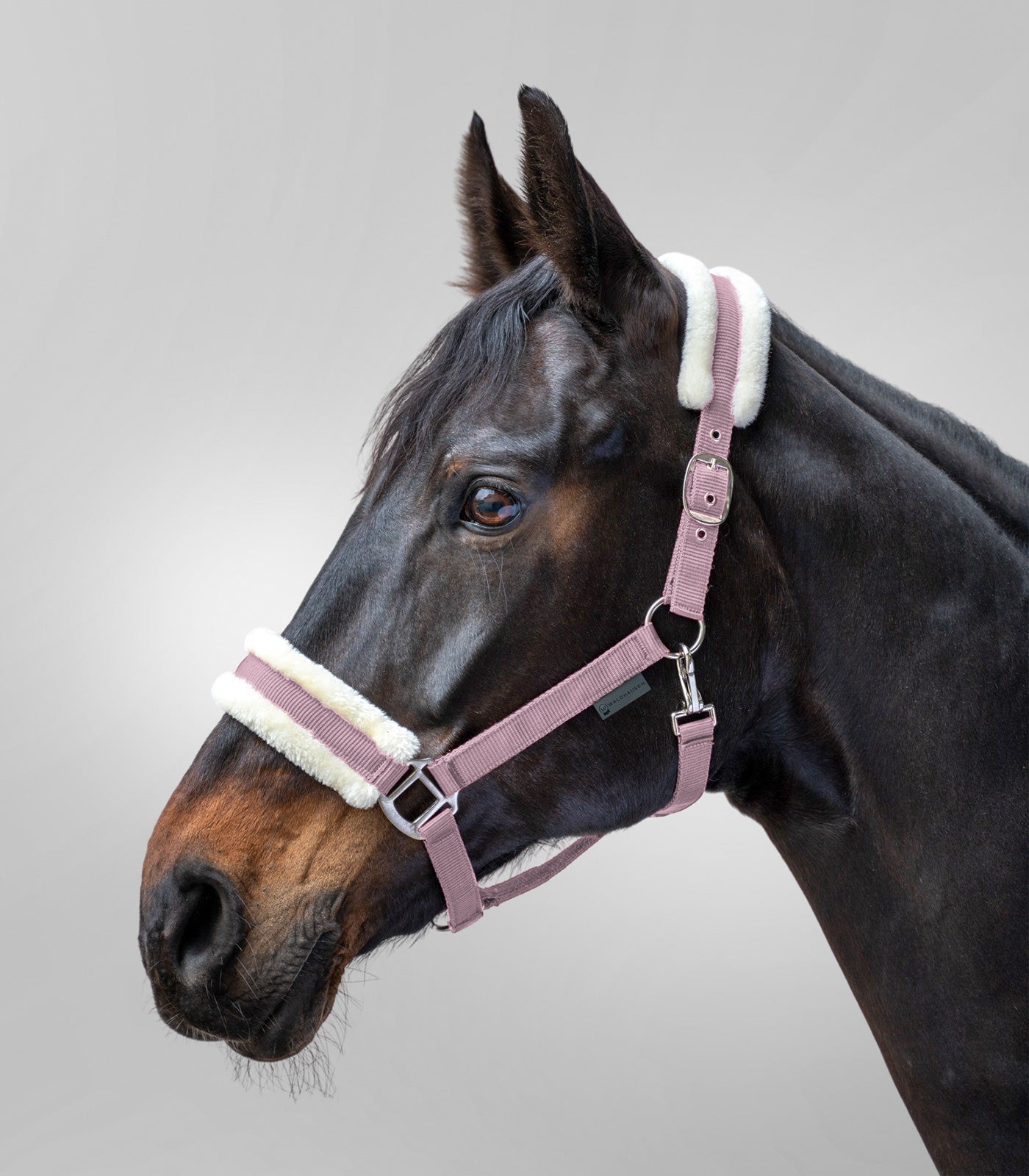 Waldhausen - Halter First