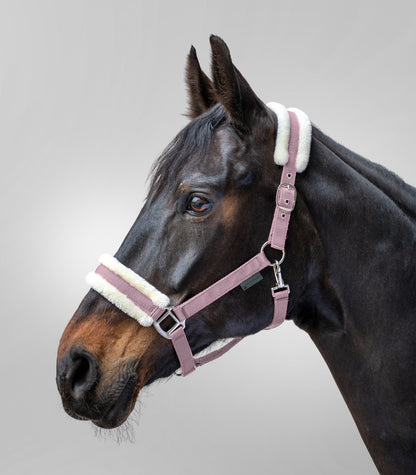 Waldhausen - Halter First