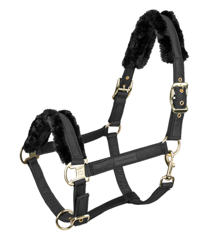 Waldhausen - Halter Exclusive