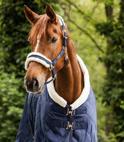 Waldhausen - Halter Exclusive