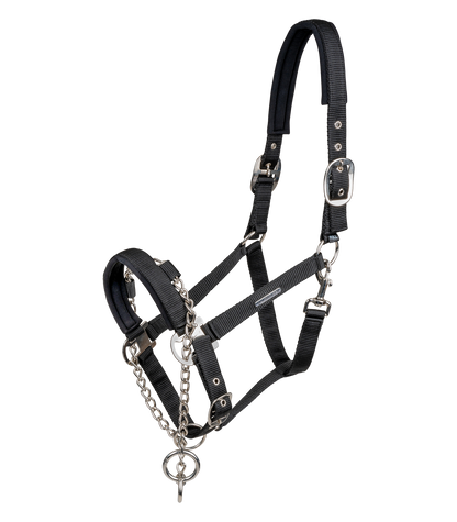 Waldhausen - Halter Pro Safety, black