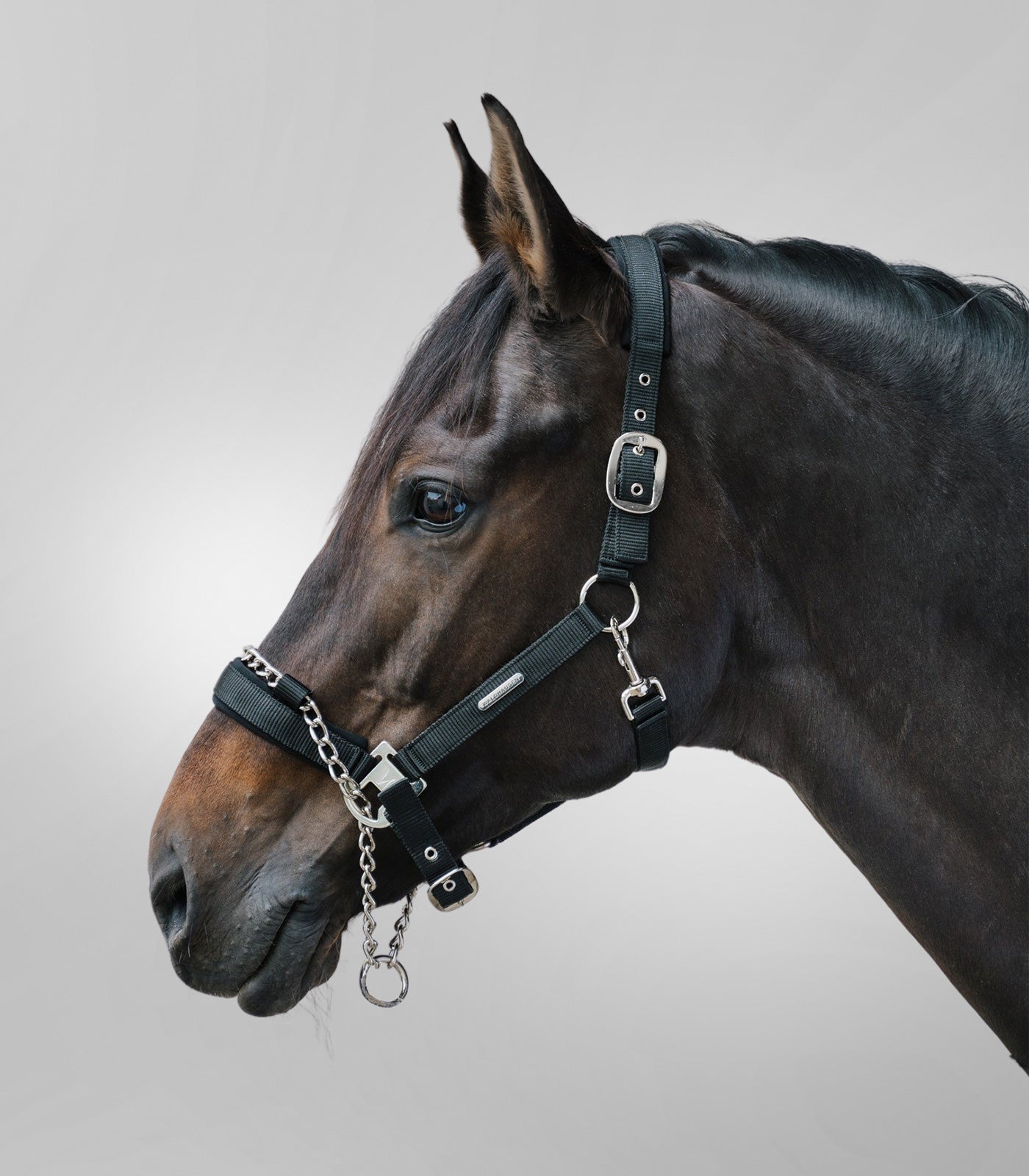 Waldhausen - Halter Pro Safety, black