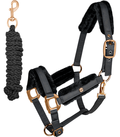 Waldhausen - Halter