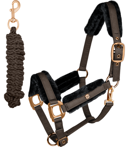 Waldhausen - Halter