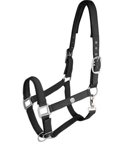 Waldhausen - Halter Trinidad
