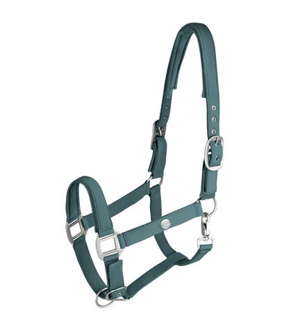 Waldhausen - Halter Trinidad