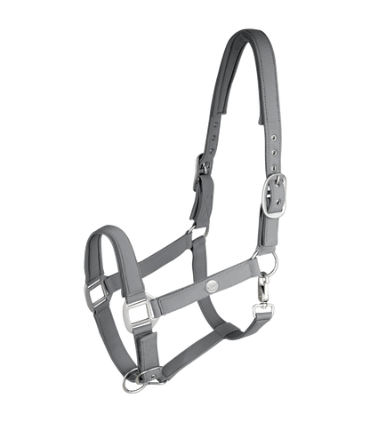 Waldhausen - Halter Trinidad