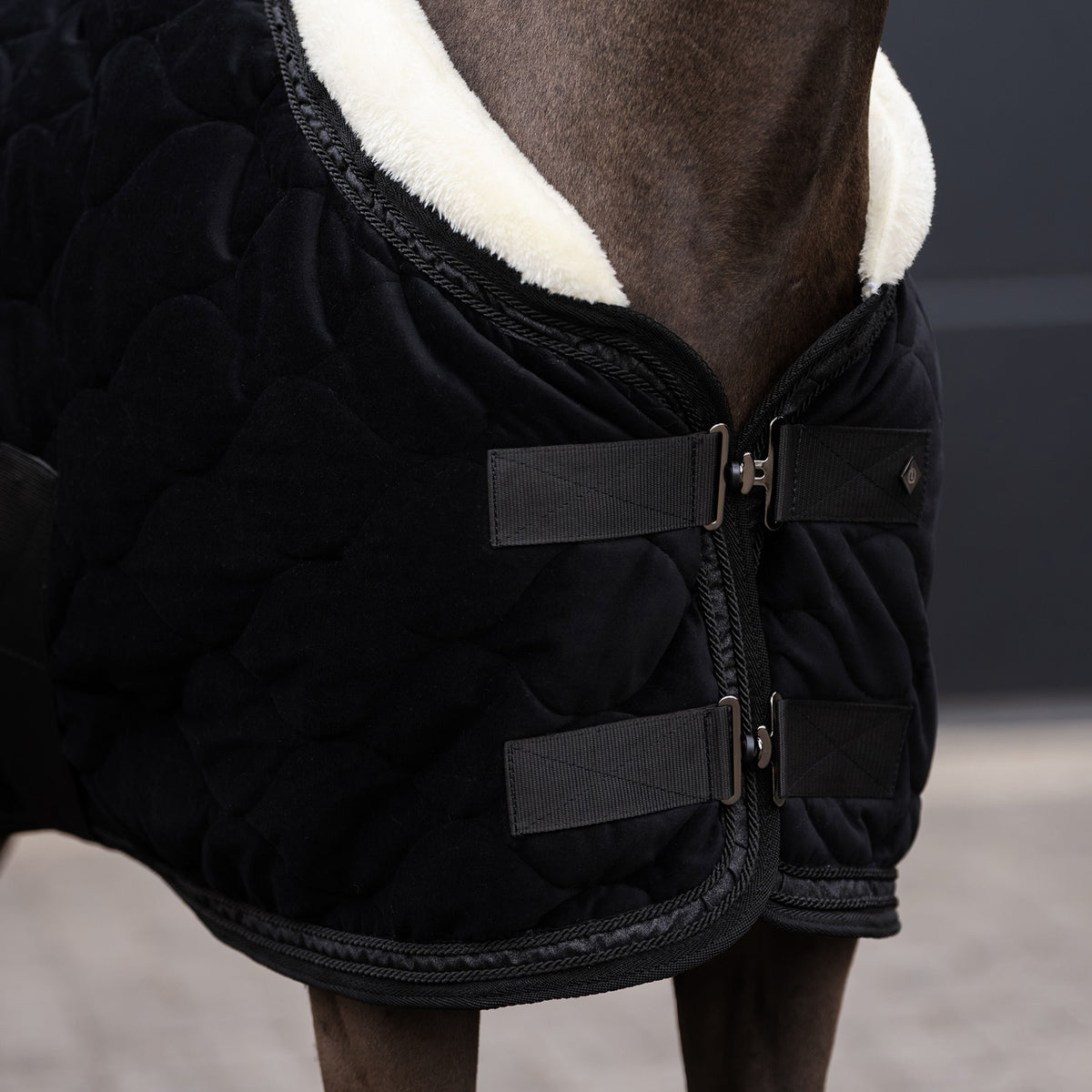 Imperial ridning, Show tæppe, Bandit- Sort