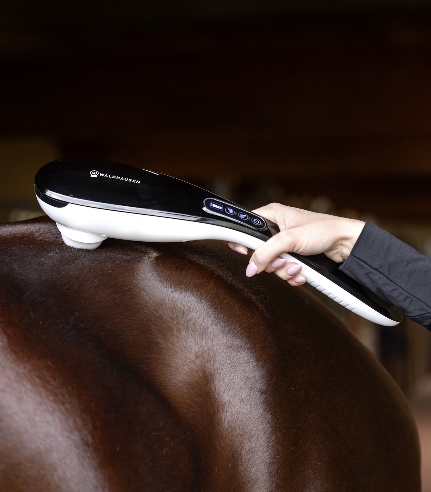 Waldhausen Health + Care - Waldhausen Health + Care Massager GO-Anywhere