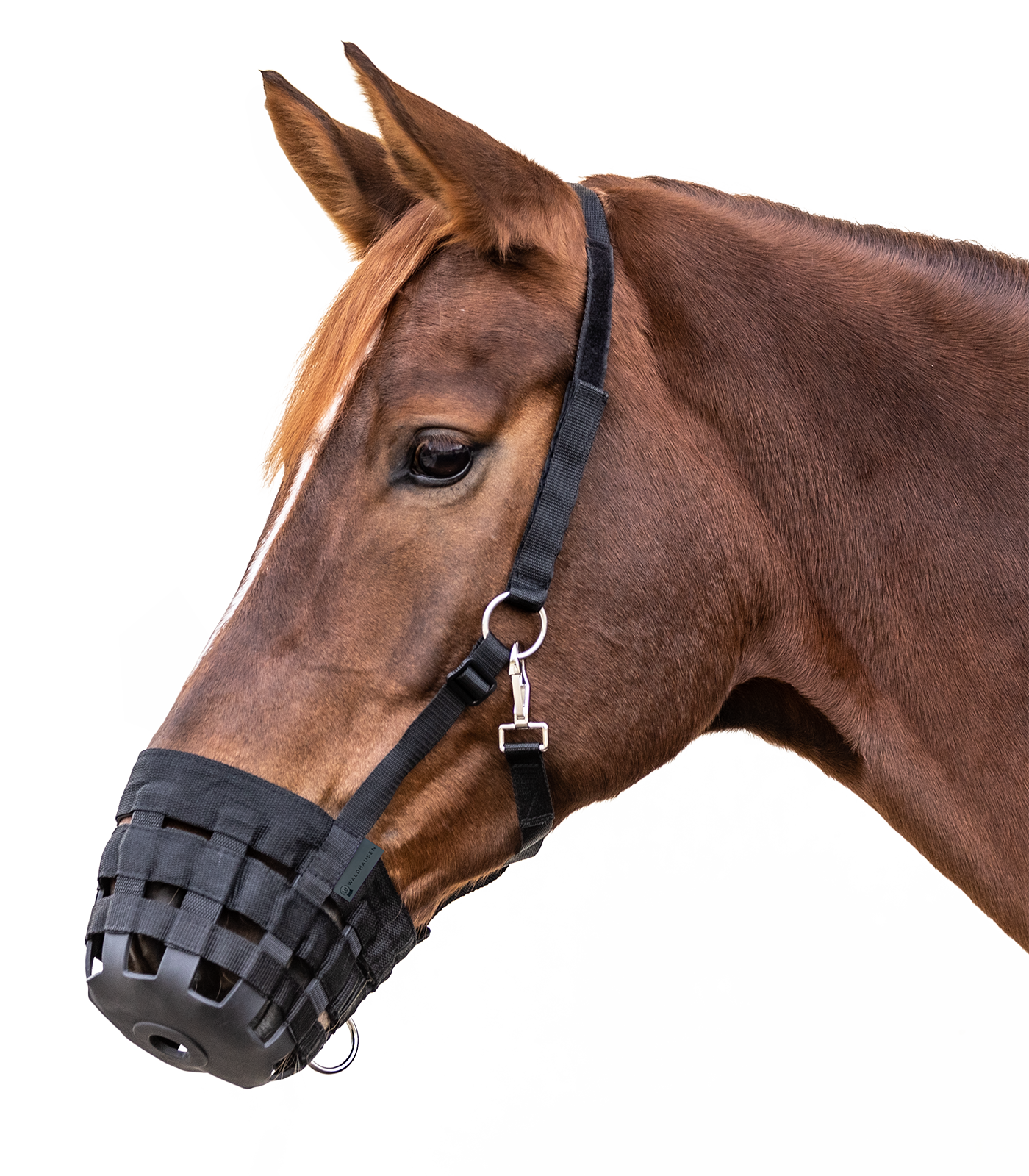Waldhausen - Adjustable Muzzle, black