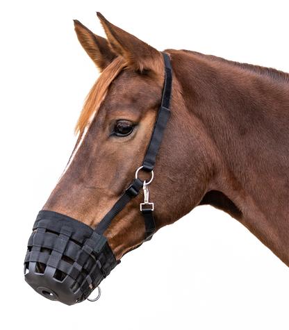 Waldhausen - Adjustable Muzzle, black