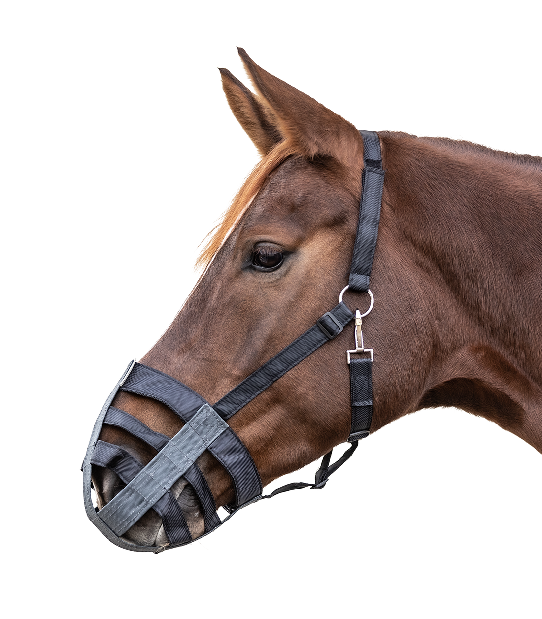 Waldhausen - Muzzle, black-grey