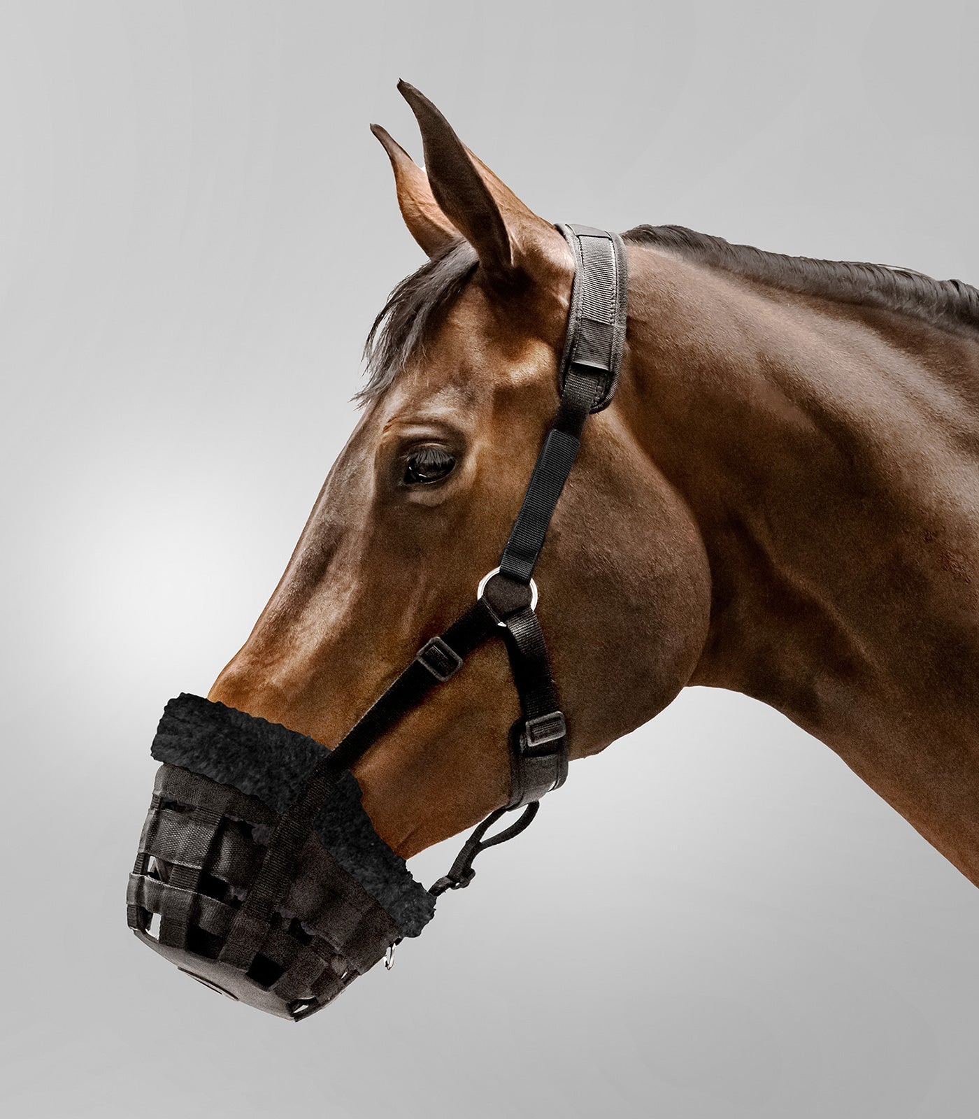 Waldhausen - Muzzle Comfort, black