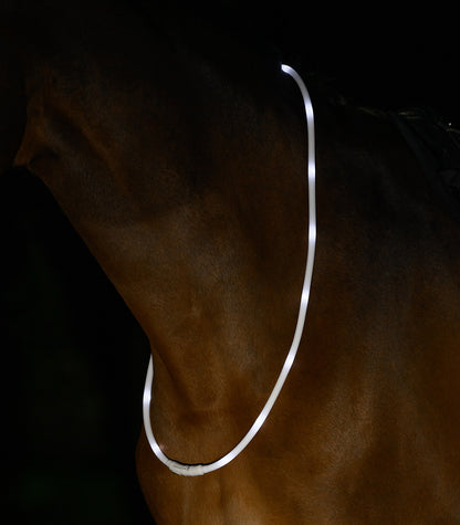 Waldhausen - Led light collar for horses