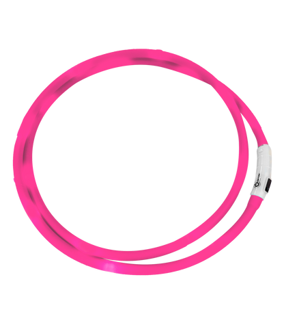 Waldhausen - Led light collar for horses