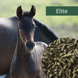 HorsePro Elite 20kg - NAG