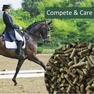 HorsePro Compete &amp; Care 20kg - NAG