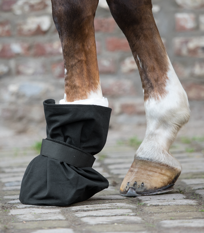 Waldhausen - cover for hoof