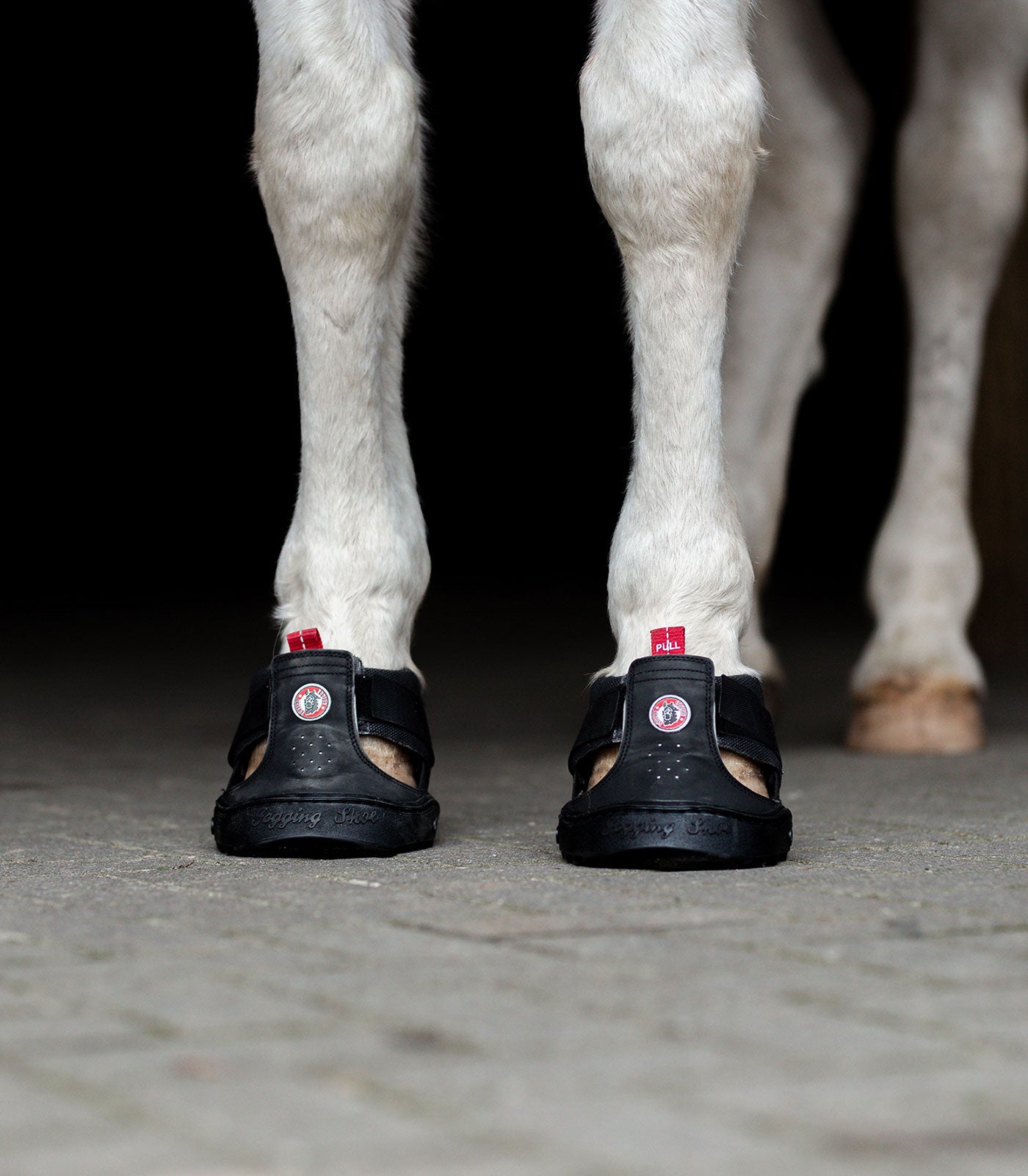 Equine Fusion - Equine Fusion Trekking Shoe