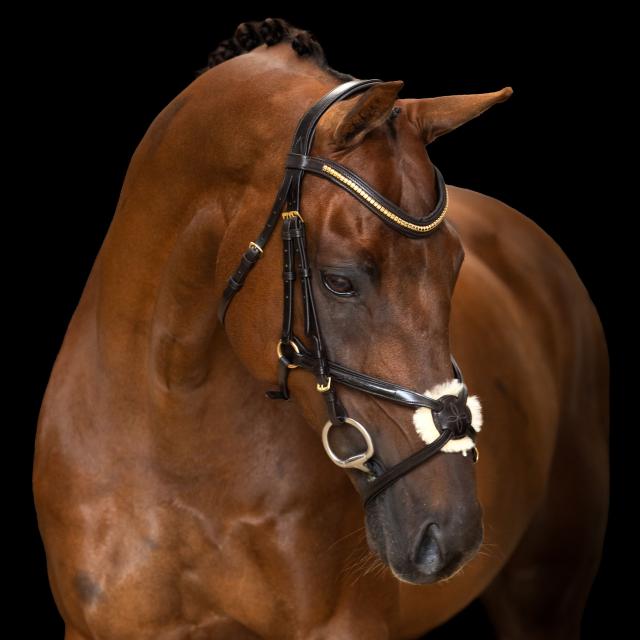 Imperial Ridning, Hovedtøj, Mexican-  Brown