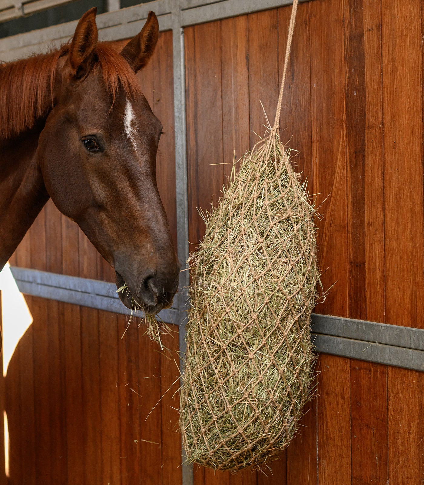 Waldhausen - Haynet jute