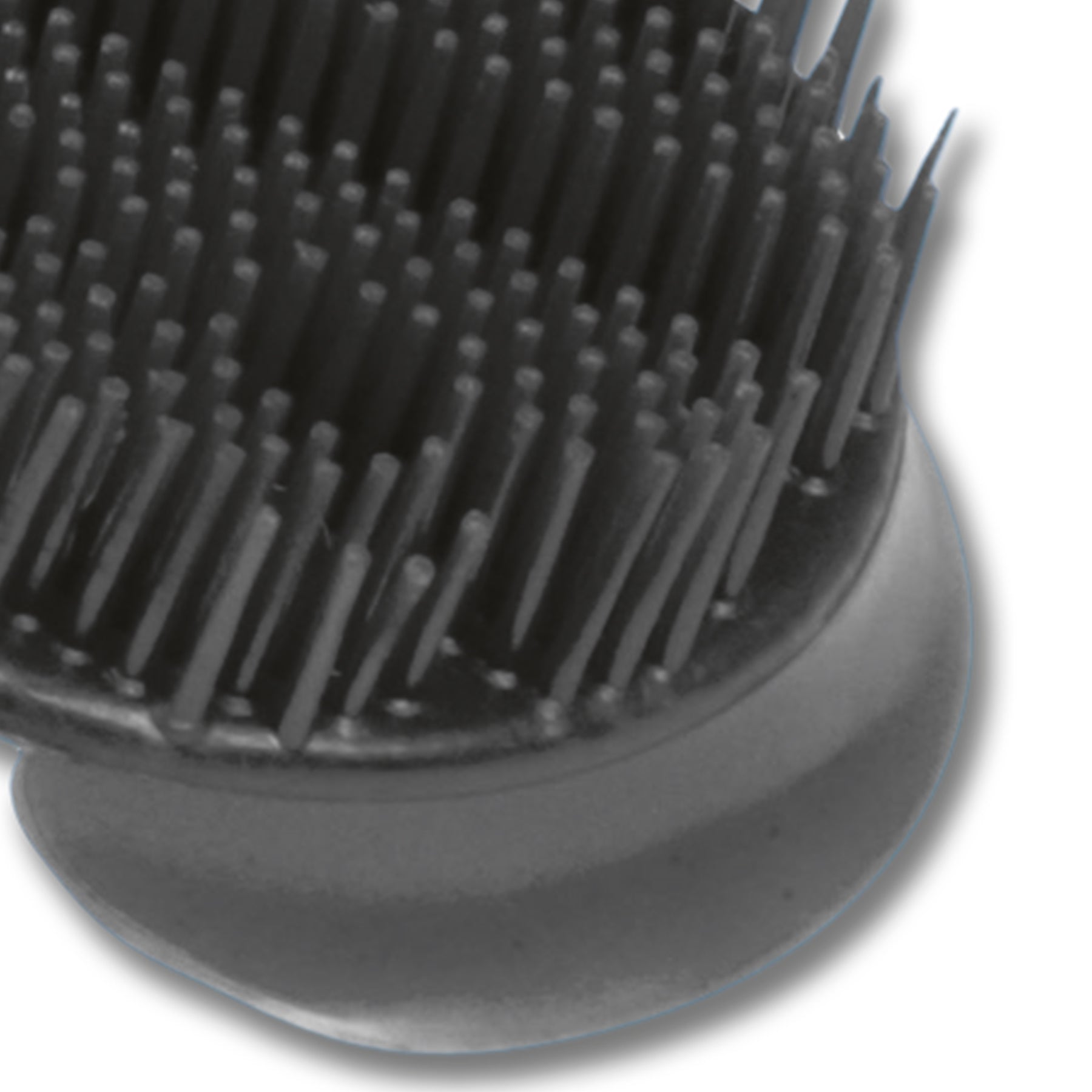 Waldhausen - Plastic Curry Comb, black