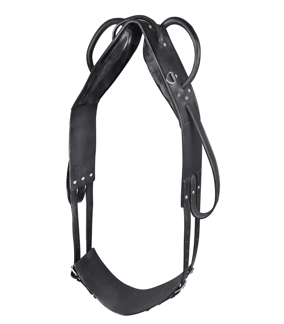 STAR - Vaulting Girth, black